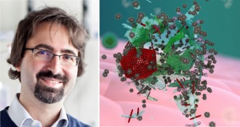 Francesco Stellacci and the novel approach to antivirals