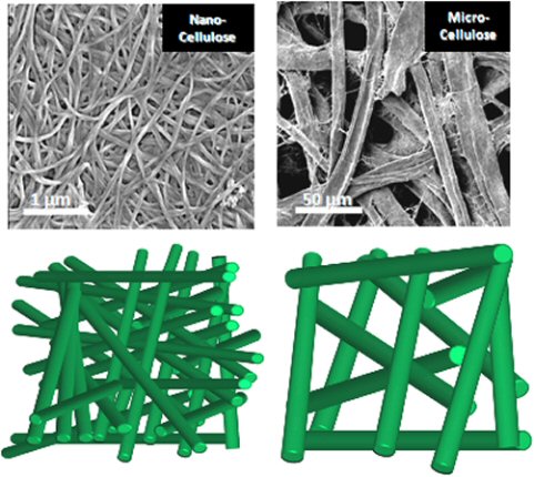 Binder-free fully biobased all-cellulose composites based on nano-sized cellulose fibres through increased intra-fibre H-bonding