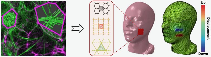 Overview of bioinspired materials research interests