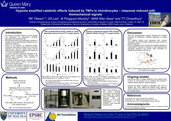 Sept 2013: Reshma, Ellie and Nick present at the BSMB meeting, Cardiff. 