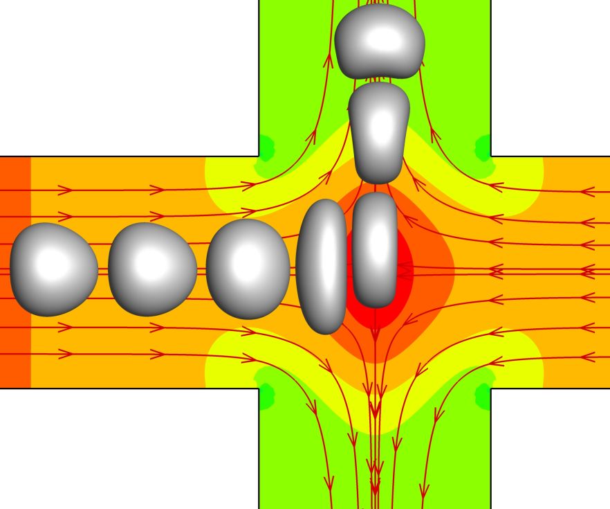 crossslot