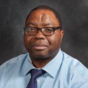 Prof. Abel Nyamapfene (UCL)