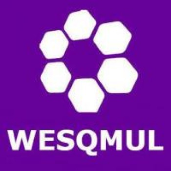 Women in Engineering Society (WESQMUL)