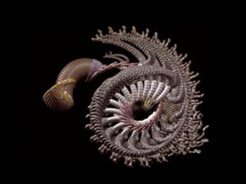Thurston Seminar - Evolutionary Art, Computer Games and Business by Prof William Latham of Goldsmiths College