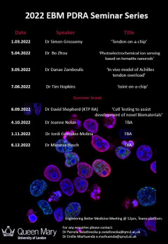 Bioengineering PDRA Seminar Series: Dr Minerva Bosch Fortea