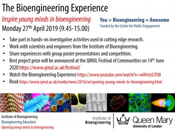 view event: The Bioengineering Experience