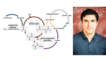 Joseph Moran and the emergence of metabolism