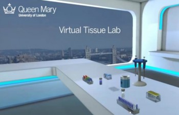 Virtual Lab project wins prestigious higher education award