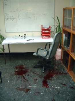 click/tap to enlarge this image... Crime scene