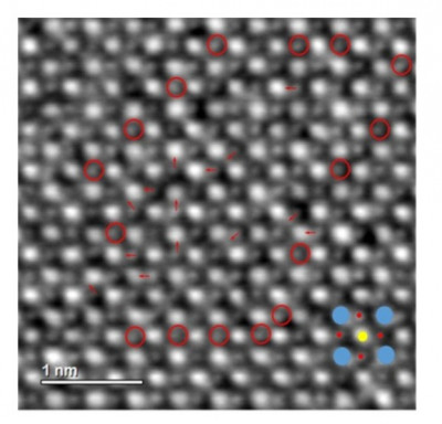 click/tap to enlarge this image... Integrated differential phase contrast (iDPC) images