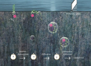 Featured in Soft Matter: decanol and dodecanol desorb from the surface of water following mixed barrier–diffusion kinetics.