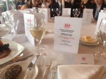 click/tap to enlarge this image... SEMS Student attends All-Party Engineering Group debate at the Houses of Parliament