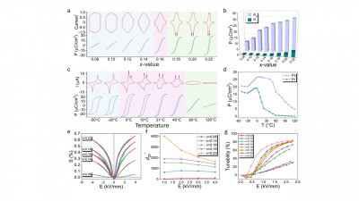 Ferroelectric switching behaviour and functional responses of the studied SPMNT compositions.