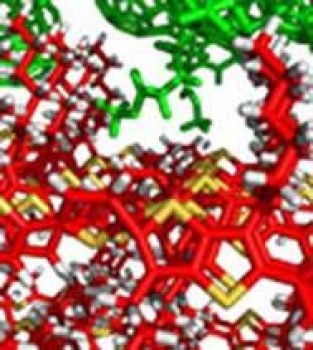 Molecular Model of a Polymer