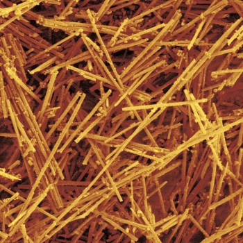 Nanorods - hollow carbon tubes used by industry for energy storage and biomedical applications