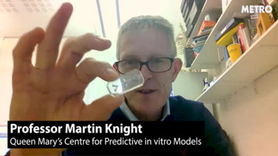 Screen shot of the interview with Prof Knight holding an Emulate organ-chip