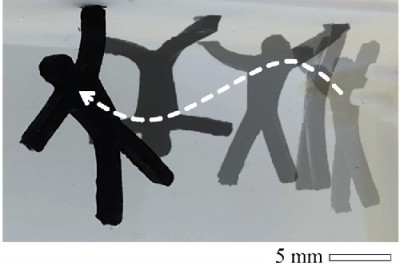 click/tap to enlarge this image... Gymnast  morphing matter