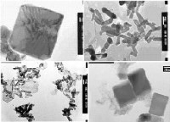TEM images of nanoparticles (<100nm) made using hydrothermal flow technology. a) CuO plates, b) hydroxyapatite rods, c) a co-precipitate of Ni hydroxide (plates) and La hydroxides (needles) and d) Co3O4 blocks.