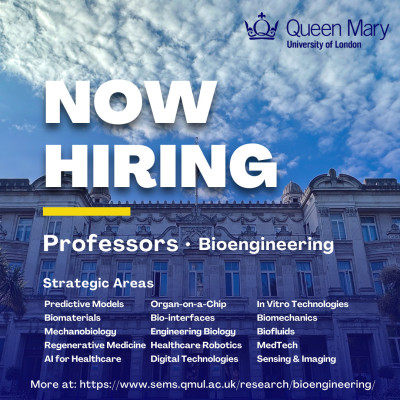 Queen Mary Professorial Strategic Hires