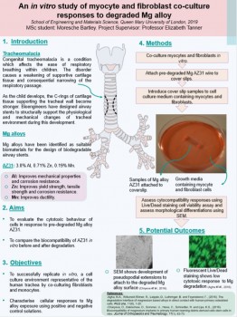 Moresche's Poster from the ILF