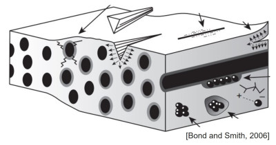 Moisture-induced degradation of composite materials