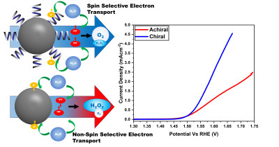 Schematic representation of spin selective transport of electrons