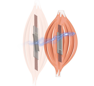 Self-sensing electric artificial muscles with variable stiffness