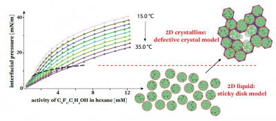 Peychev's model of the 2D melting of fluorinated monolayers.