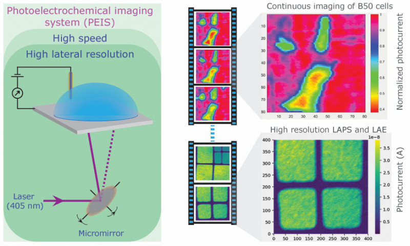 Photoelectrochemical imaging with high spatiotemporal resolution ...