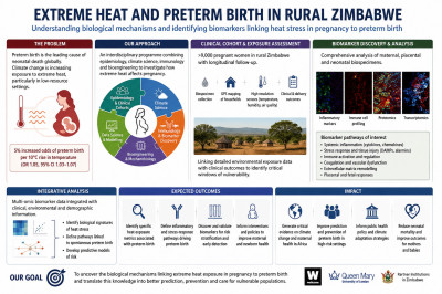 click/tap to enlarge this image... Predicting pregnancy risk in a warming world