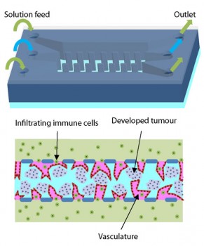 Design of a microfluidic chip for the growth of micro-tumours (top: external view, bottom: internal view)