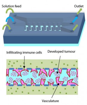 click/tap to enlarge this image... Design of a microfluidic chip for the growth of micro-tumours (top: external view, bottom: internal view)