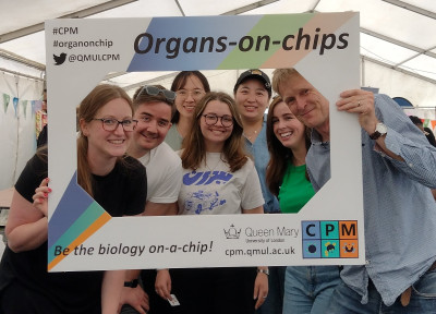 The organ-chip team led by Dr Clare Thompson (left) and Prof Martin Knight (right)