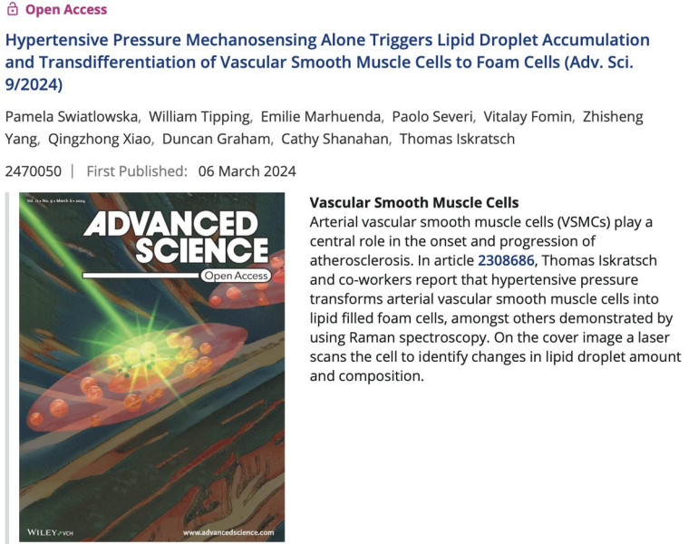 Research featured as cover article in Advanced Science QMUL School of