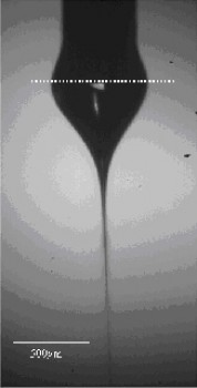 click/tap to enlarge this image... New Jets discovered by Dr. Jayasinghe & Prof. Edirisinghe
