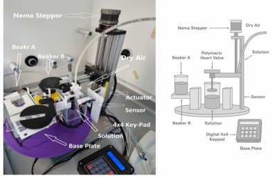 Research by Queen Mary academics accepted into Engineering and Medicine …