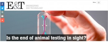 click/tap to enlarge this image... Profs Knight and Screen interviewed for report on organ-on-a-chip