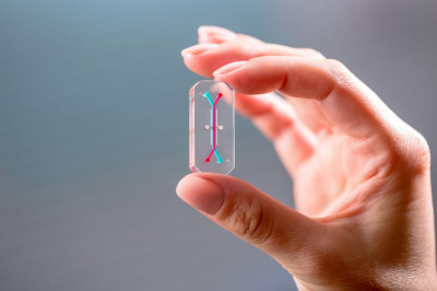 An Organ-on-a-Chip (Emulate, Inc)