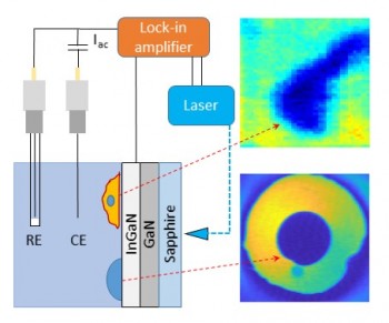 AC photocurrent imaging at an epitaxial layer of InGaN/GaN on sapphire was shown to be sensitive to the impedance of a polymer dot and the negative surface charge of an isolated cell. AC photocurrents were excited with a focused, intensity-modulated 405 nm laser and measured with a lock-in amplifier. Images were obtained by measuring the photocurrent while moving the electrochemical cell with respect to the laser beam using an XYZ positioning system.