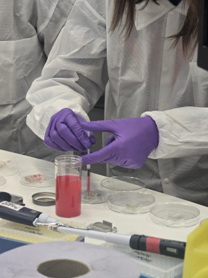 British Heart Foundation see research their funding made possible