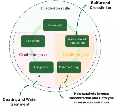 Undergraduate students contribute to pioneering research on greener polymers