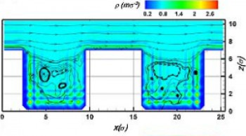 Two-dimensional density and flow fields of the liquid in the wall-neighbouring area. 