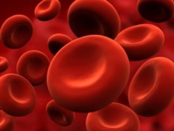click/tap to enlarge this image... Schematic illustration of red blood cells