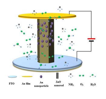 The ammonia sensor is based on a vertical diode structure formed from zinc oxide nanorods and a gold contact deposited by thermal evaporation.