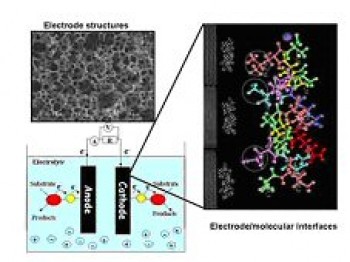 SUPERGEN Biofuel Cells Consortium – from Waste to Energy