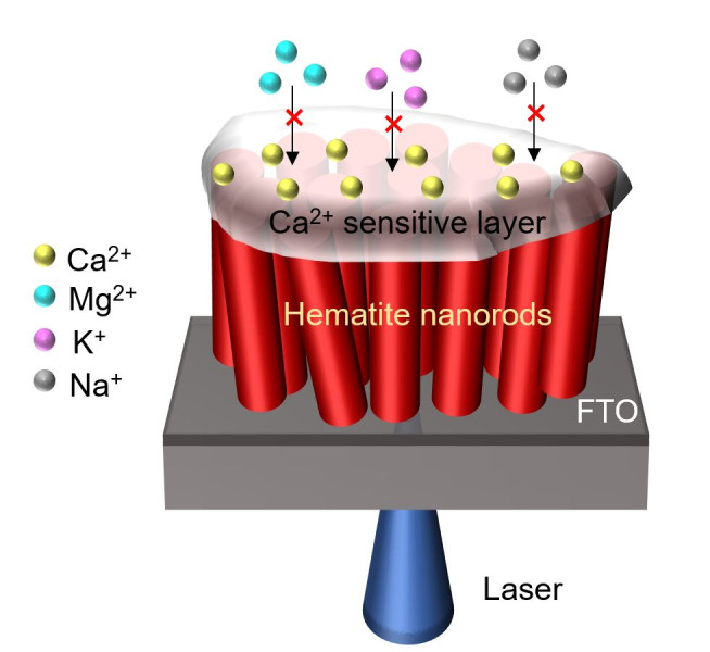 Hematite nanorods a promising material for photoelectrochemical