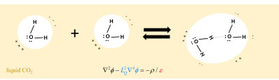 Association of polar molecules in a quadrupolar liquid - carbon dioxide