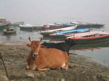 two local ladies enjoying the banks of the Ganges