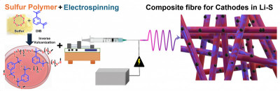 click/tap to enlarge this image... Schematic representation of Michael's fellowship research