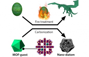 The transformation of the MOF into a nano-diatom is much like the metamorphosis of a dragon egg into a fire-born dragon when given fire treatment in Game of Thrones